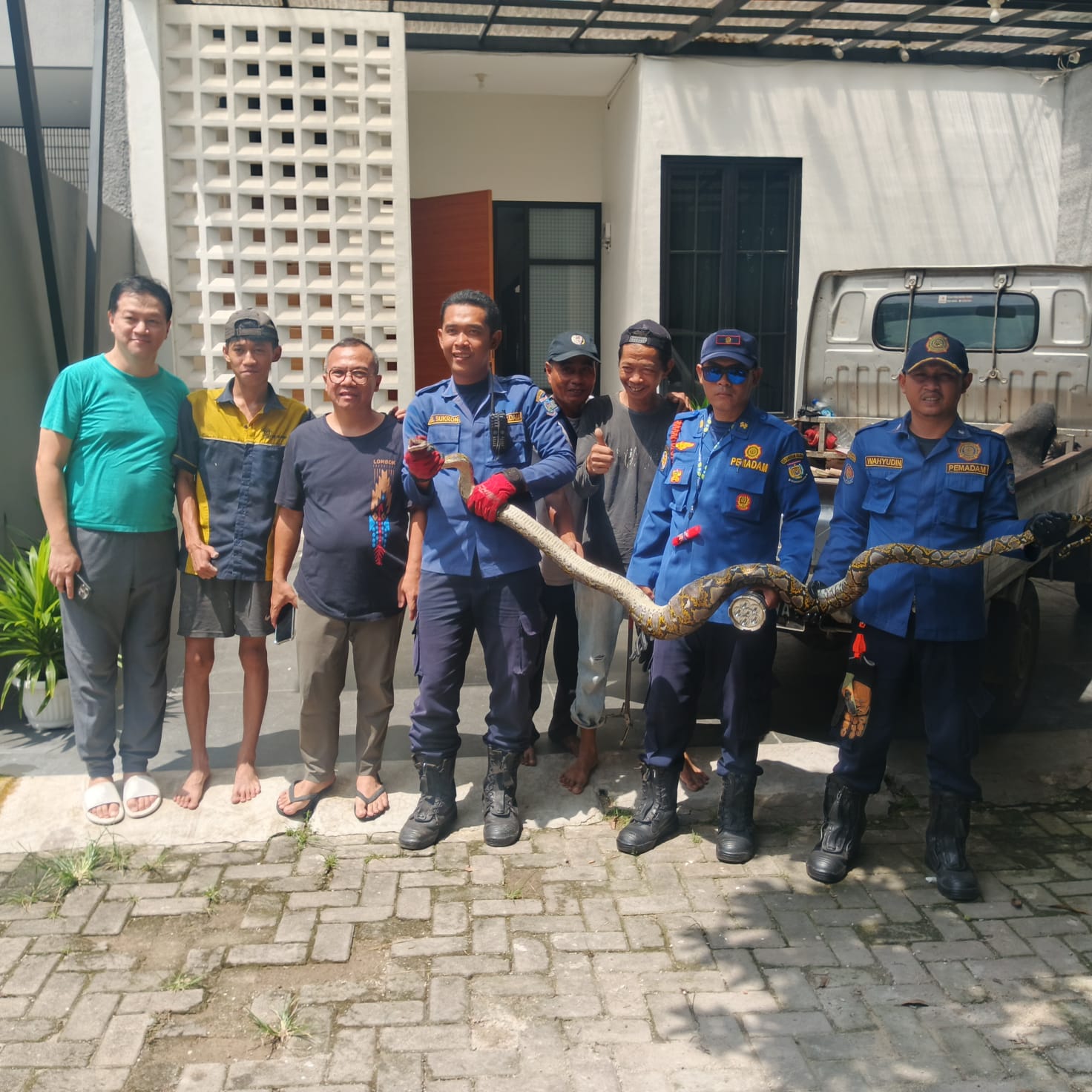 Petugas Damkar Tangsel mengevakuasi ular sepanjang sekitar tiga meter dari plafon rumah warga di Bintaro Hill Residence, Pondok Aren, Selasa (6/1). (tangselpos.id/rmn)