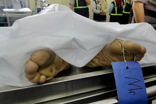 Ilustrasi. Foto : Ist