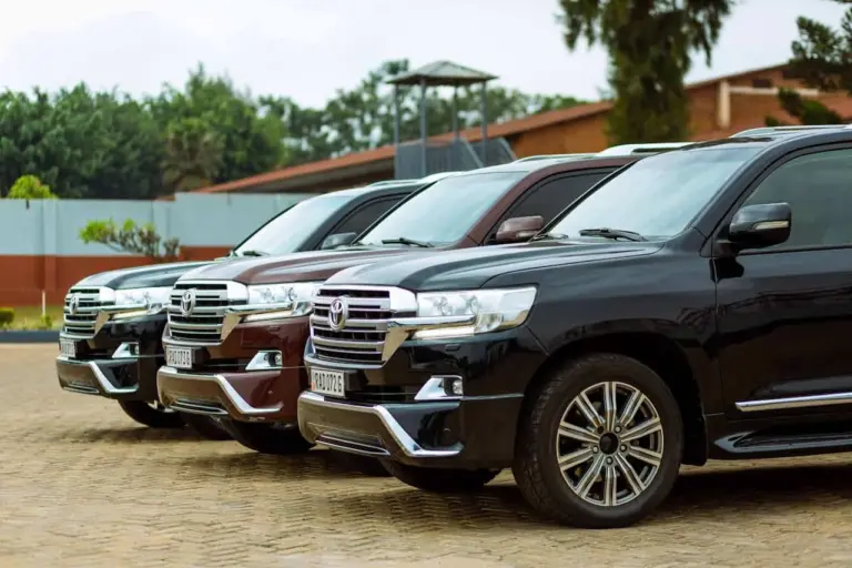 Ilustrasi. Foto : Ist