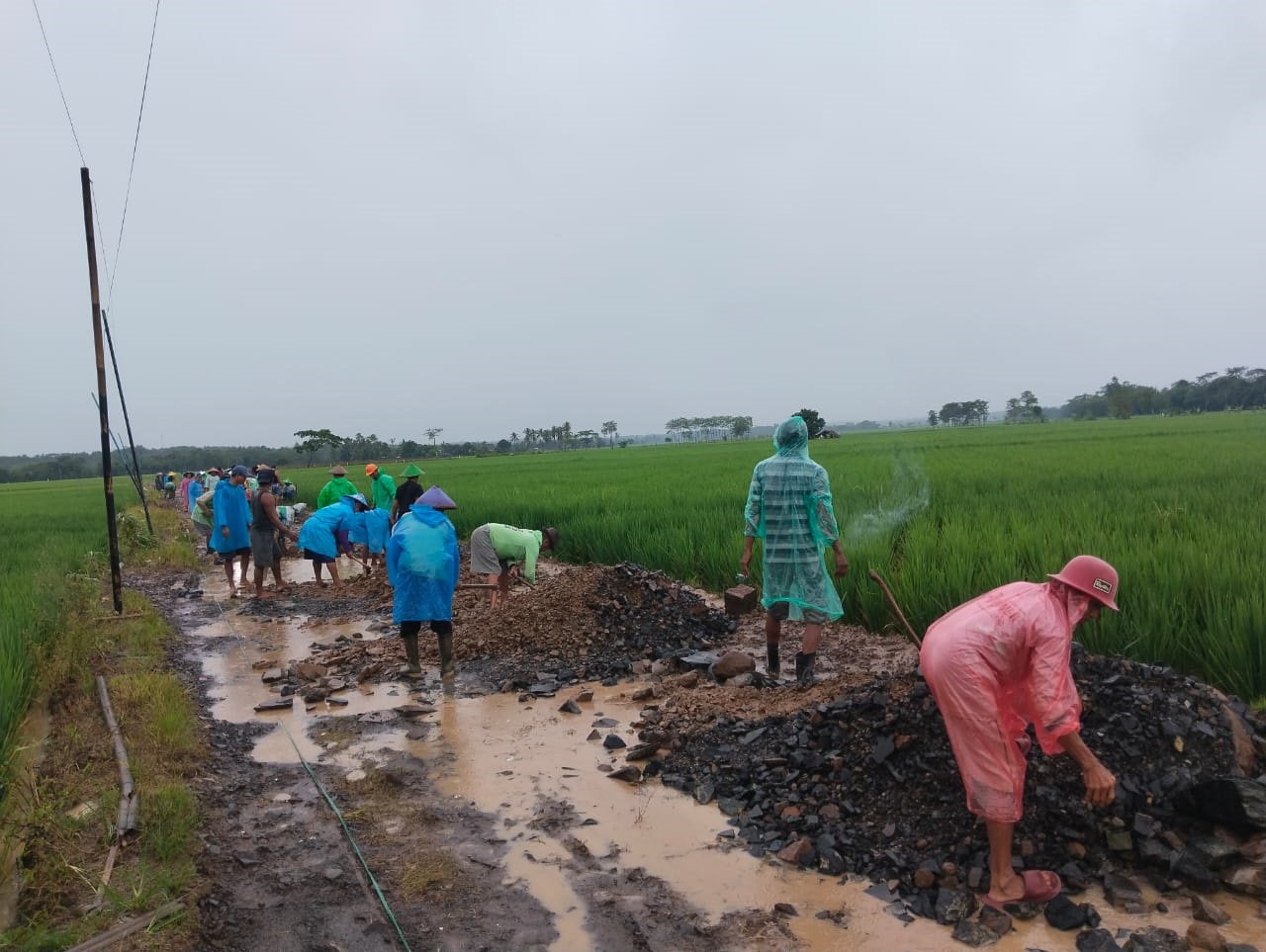 GOTONG ROYONG. Warga Kampung Kalapa Cagak, Desa Teluklada, Kecamatan Sobang, Kabupaten Pandeglang, sedang gotong royong memperbaiki jalan rusak penghubung 3 kecamatan di Kabupaten Pandeglang, Senin (12/1).