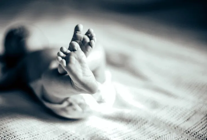 Ilustrasi. Foto : Ist