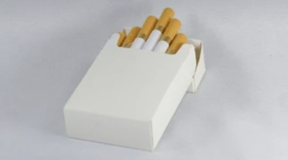 Ilustrasi. Foto : Ist