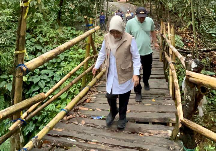 Bupati Pandeglang Raden Dewi Setiani didampingi Camat Jiput dan jajaran lainnya sedang melintasi jembatan kayu, saat meninjau langsung di Kampung Sarewu-Pasirsalinten, Desa Citaman, Kecamatan Jiput, Kamis (12/2).(Istimewa)