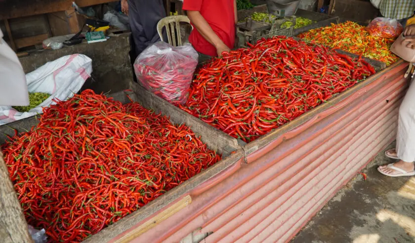 Cabe di pasar tradisional. Foto : Ist