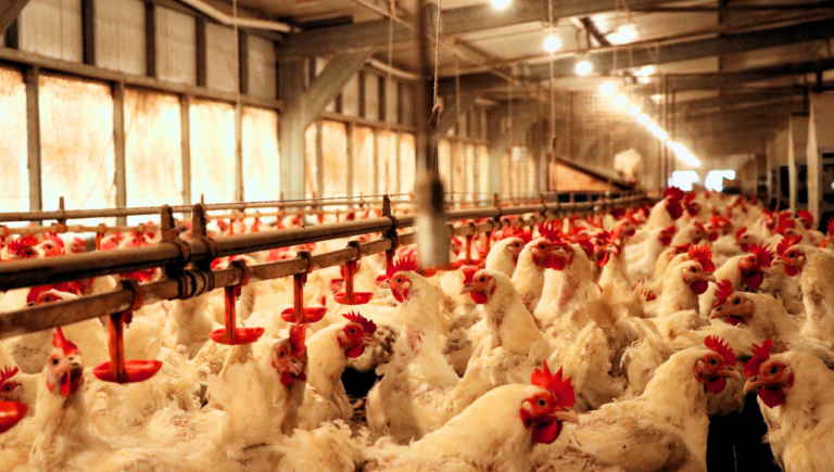 Ilustrasi. Foto : Ist