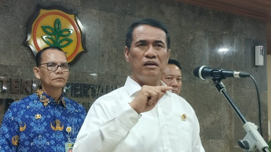 Menteri Pertanian Andi Amran Sulaiman. Foto : Ist