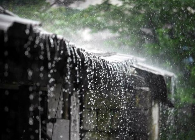 Ilustrasi. Foto : Ist