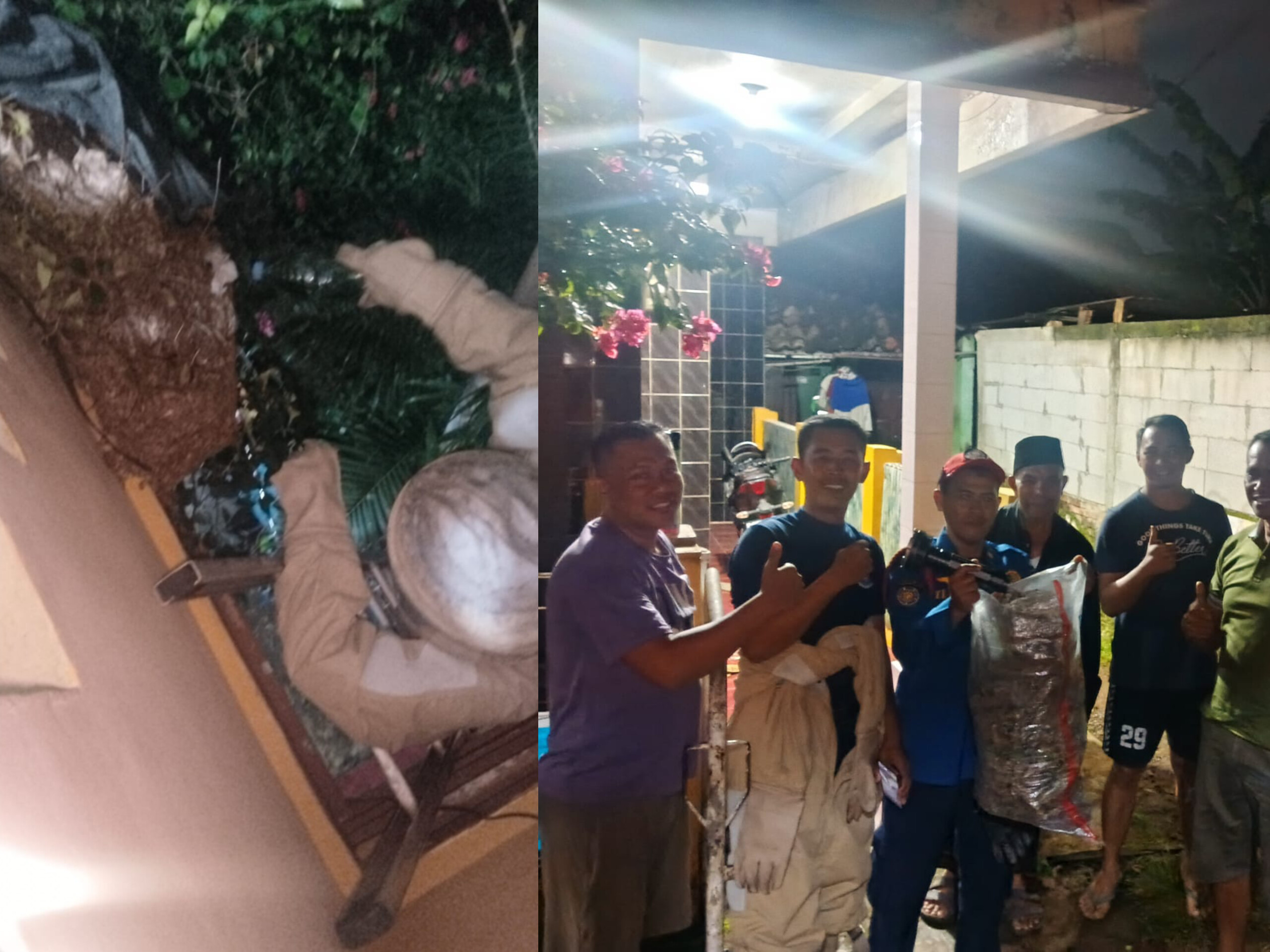 Sarang tawon vespa berukuran besar yang menempel di bagian atas rumah. (Dok. Damkar Tangsel)