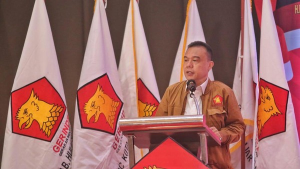 Ketua Harian DPP Partai Gerindra, Sufmi Dasco Ahmad. Foto : Ist