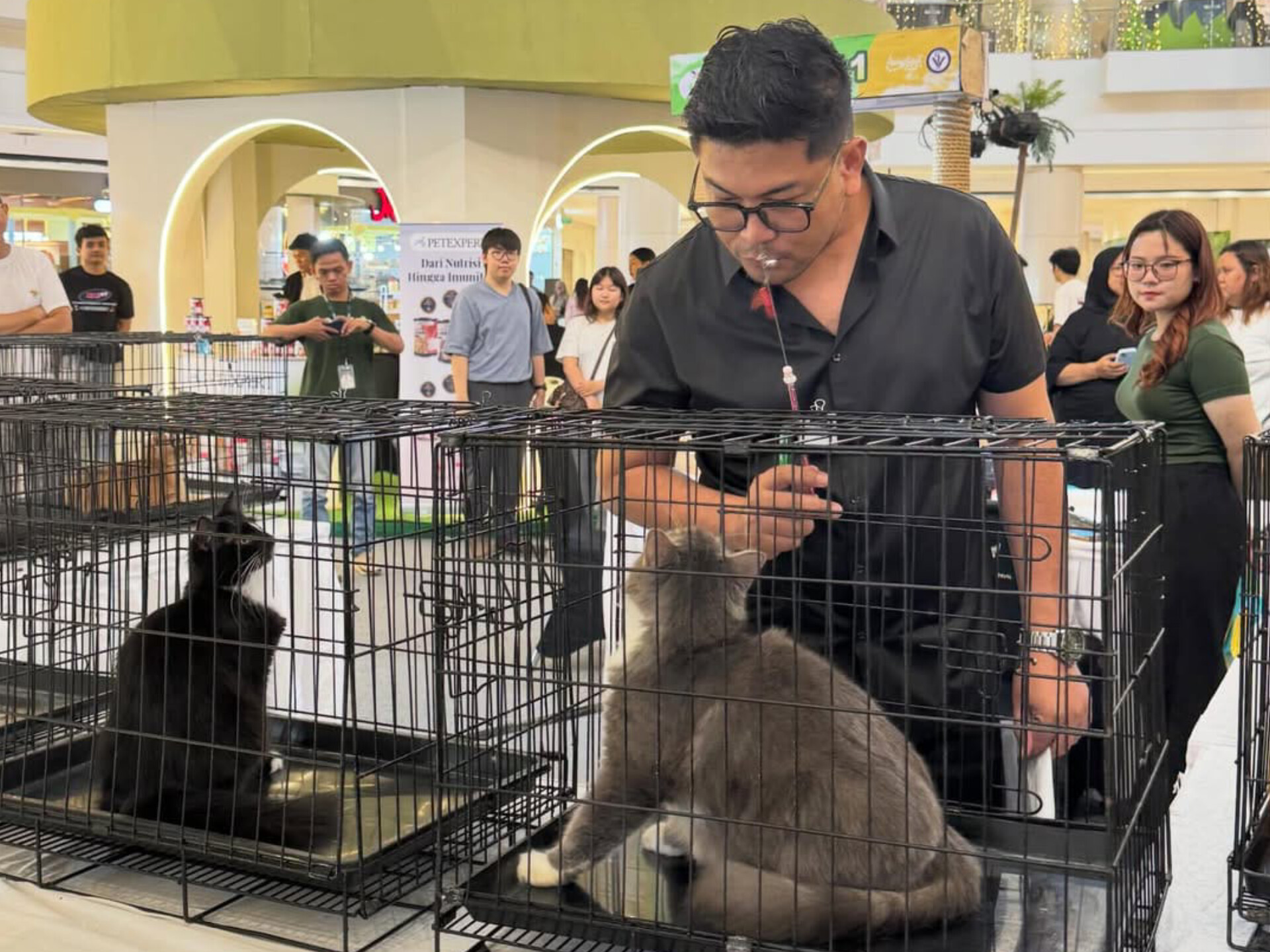 Ratusan pengunjung hilir mudik menikmati beragam aktivitas dalam gelaran Feline Spotlight 2026. (tangselpos.id/irm)