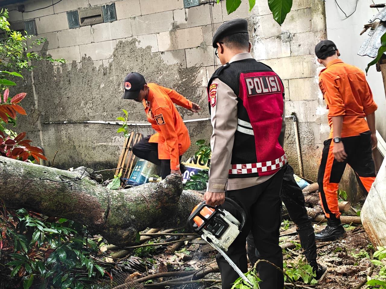 Pores Tangsel gerak cepat langsung bantu evakuasi pohon tumbang akibat cuaca buruk.