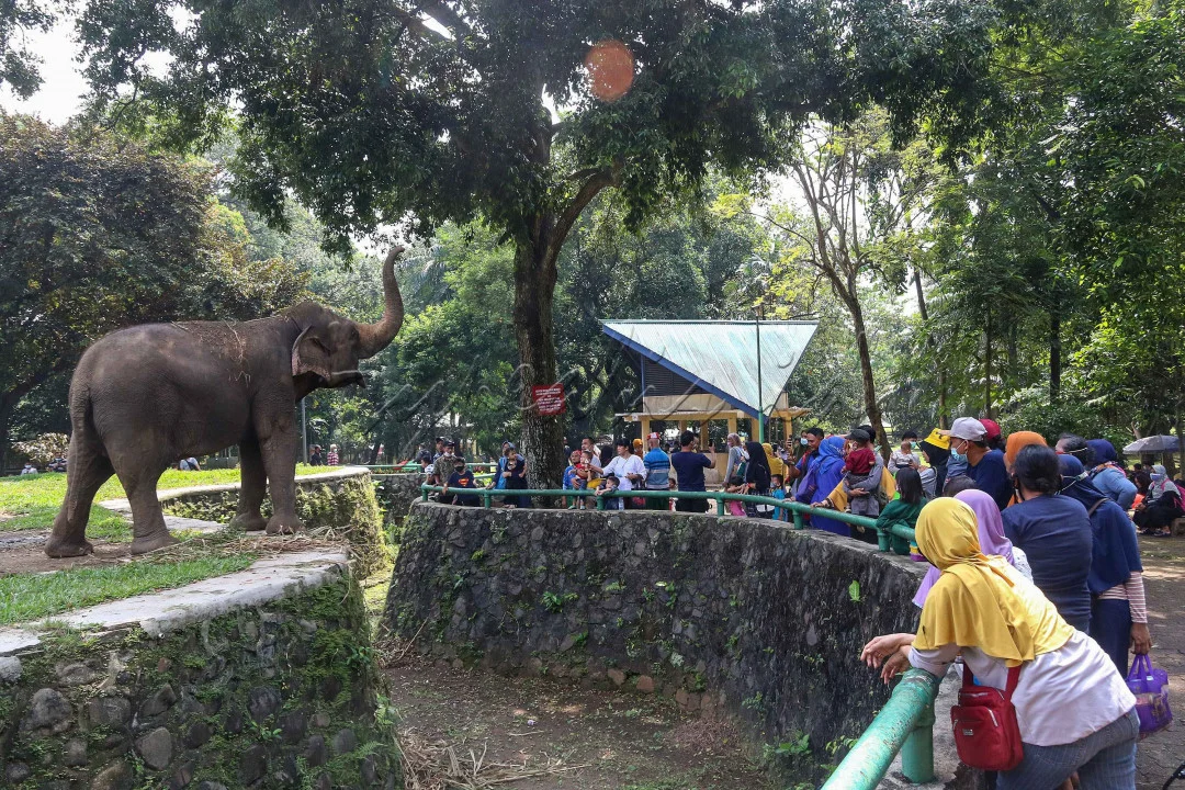 Kandang Gajah di KB Ragunan. Foto : Ist