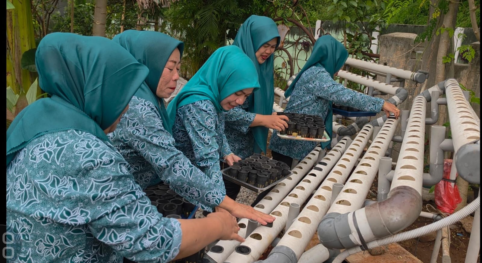 Kebun PKK “Camelia” sebagai salah satu andalan dalam menghadapi lomba PKK tingkat Provinsi Banten. (tangselpos.id/irm)