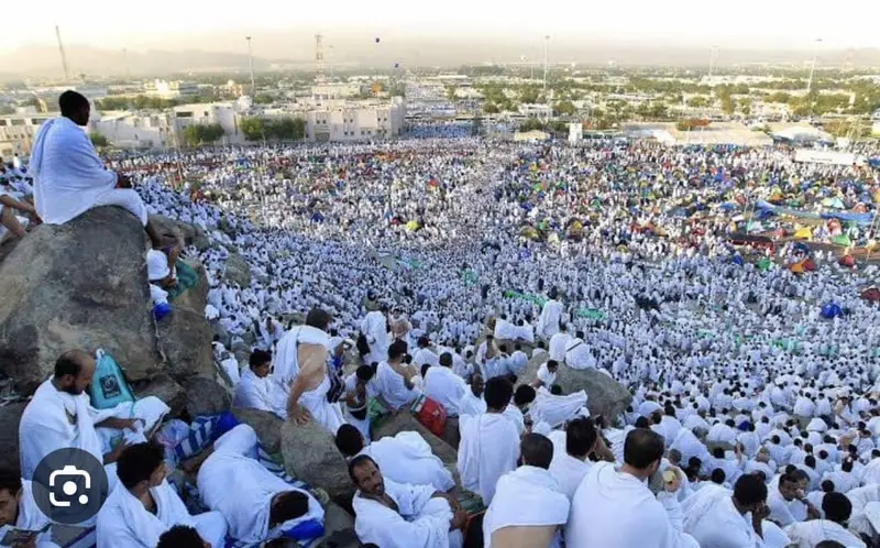 Suasana di Padang Arafah. Foto : Ist