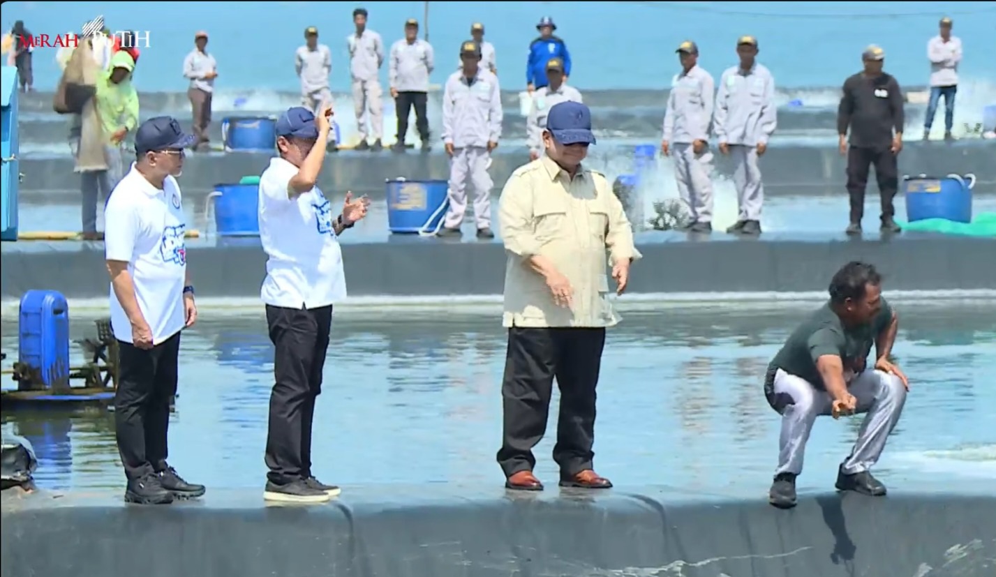 Presiden Prabowo panen raya udang di kawasan Tambak Budidaya Udang Berbasis Kawasan (BUBK) Kebumen, Desa Tegalretno, Kecamatan Petanahan, Kabupaten Kebumen, Sabtu (23/5/2026). Foto : Ist