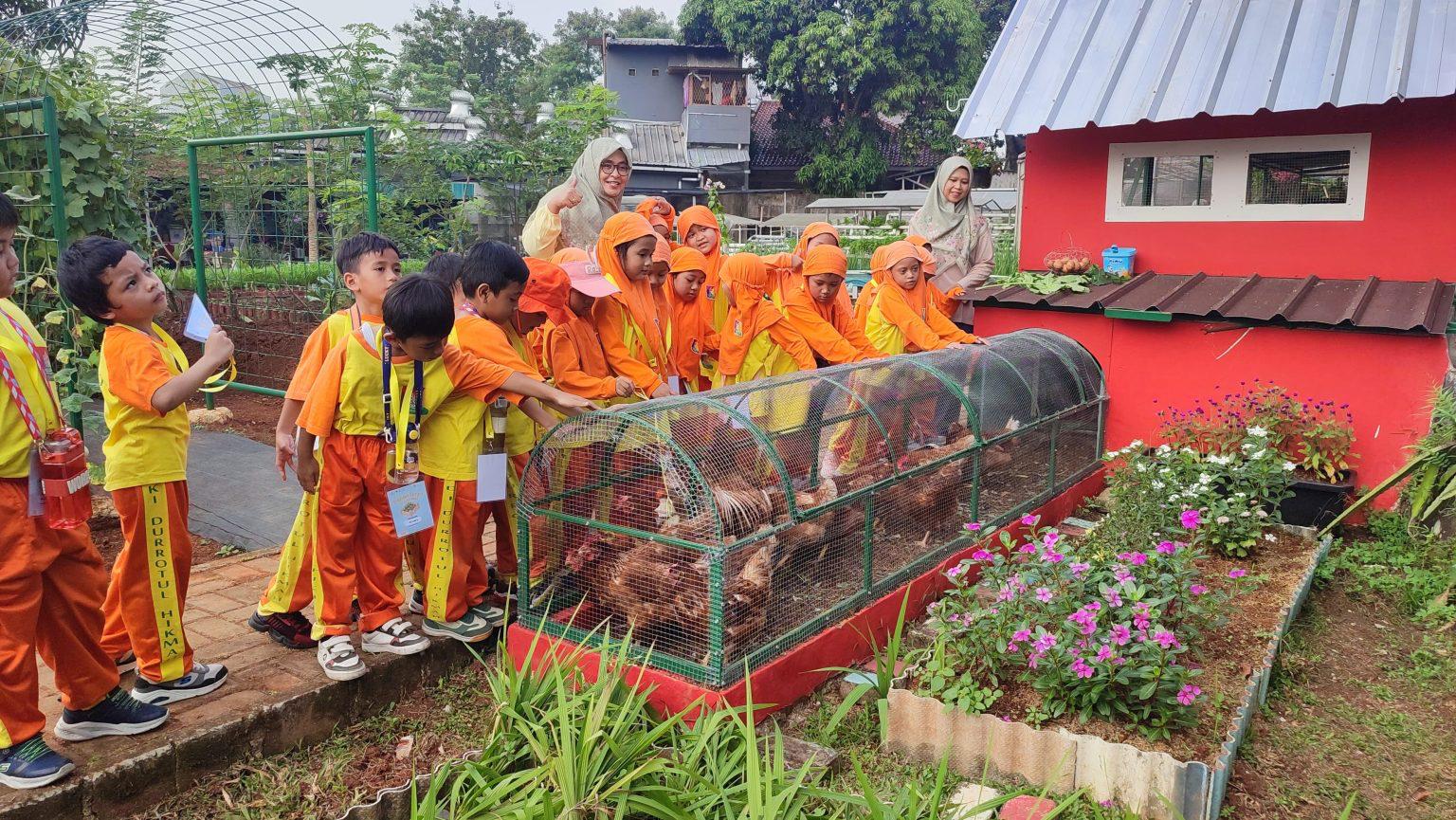 Farm Pakujaya saat puluhan anak dari TK Islam Durrotul Hikmah mengikuti kegiatan eduwisata bertema “Panen Raya”, Jumat (1/5).