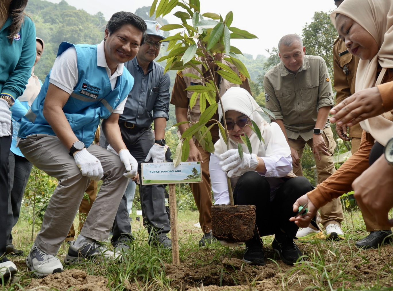 TANAM POHON. Bupati Pandeglang Raden Dewi Setiani, bersama para pihak lainnya sedang melakukan penanaman pohon di kawasan Gunung Karang, Desa Kaduengang, Kecamatan Cadasari, Kabupaten Pandeglang, Selasa (30/6). (DOK. PROKOPIM SETDA PANDEGLANG)
