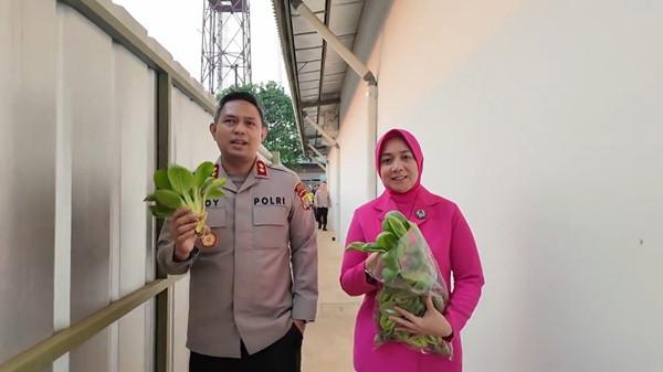 PANEN RAYA - Kapolres Tangsel AKBP Boy Jumalolo bersama Ketua Bhayangkari Cabang Tangsel, Widya Boy Jumalolo Panen Raya.