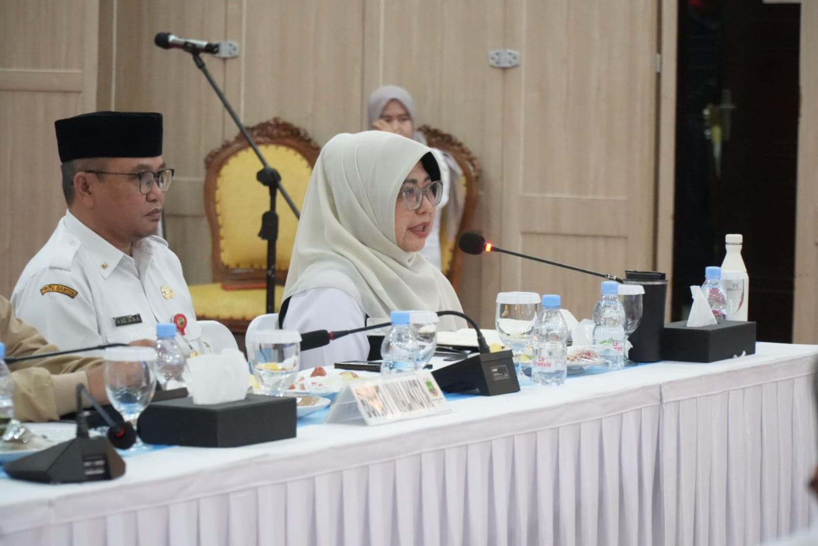upati Pandeglang Raden Dewi Setiani menyampaikan empat usulan kepada Komisi II DPR RI, di Pendopo Gubernur Banten, Kota Serang, Rabu (8/7/2026).(Istimewa)