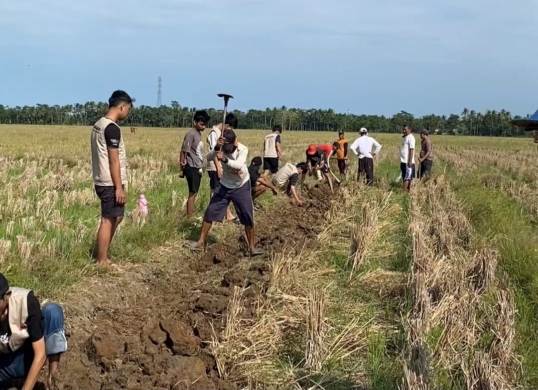 Mahasiswa KKN Kelompok 19 Unma 2026 melakukan normalisasi irigasi Desa Weru, Kecamatan Sukaresmi, Kabupaten Pandeglang, Selasa (28/7/2026).(istimewa)