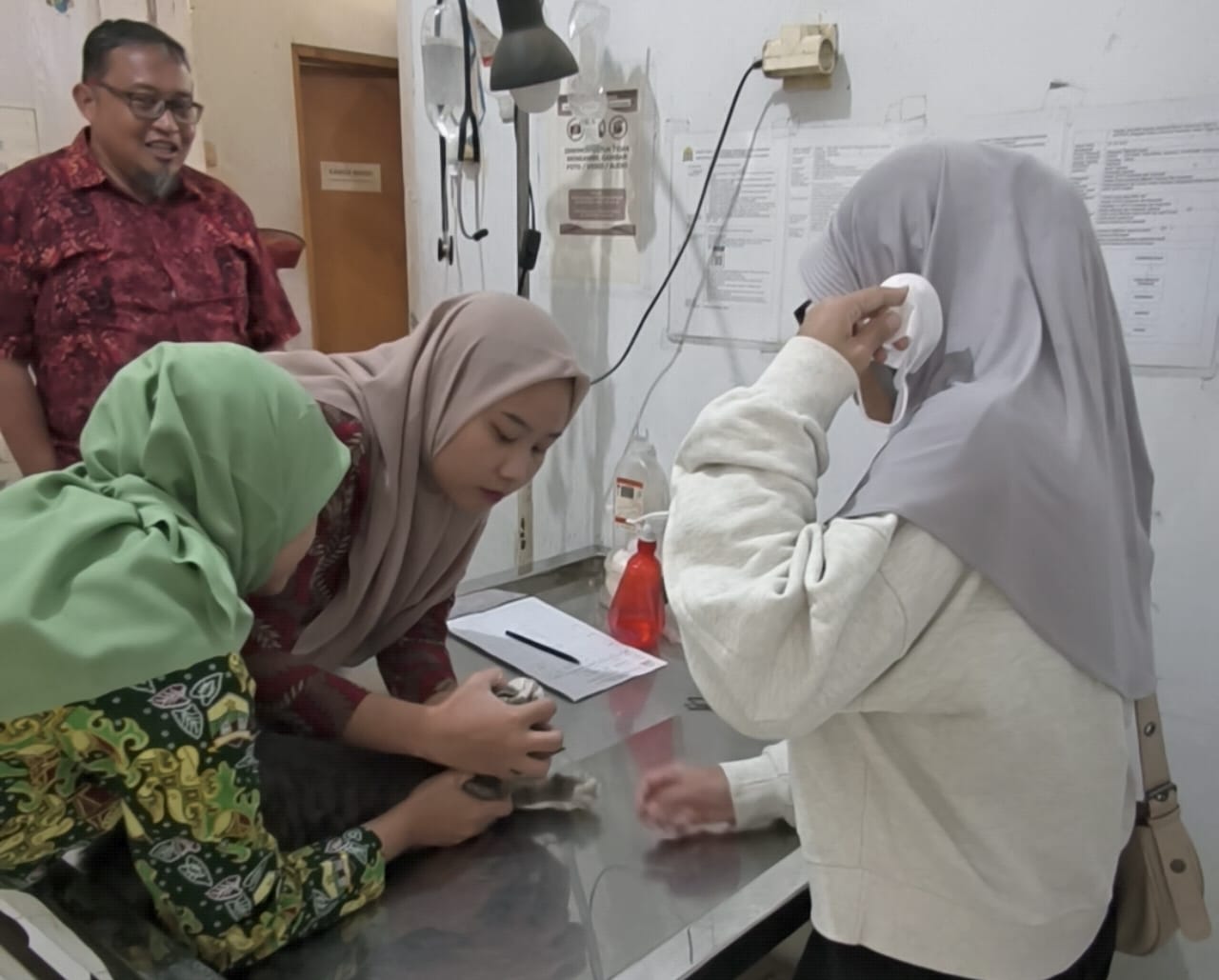 Petugas medis UPTD Puskeswan Kota Serang melakukan pelayanan kesehatan hewan, Kamis (9/7/2026).(Istimewa)