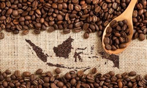 Kopi Indonesia. Foto : Ist