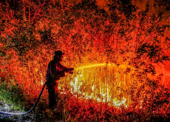 Ilustrasi. Foto : Ist