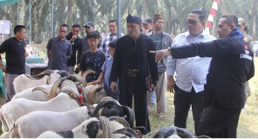 LATIHAN BERSAMA. Wabup Lebak Amir Hamzah, sedang melihat domba saat kegiatan latihan bersama SKDG Provinsi Banten, di Lapangan Sepak Bola Cikadu, Desa Sindang Mulya, Kecamatan Maja, Kabupaten Lebak, Minggu (9/8). (DOK. PROKOPIM SETDA LEBAK)