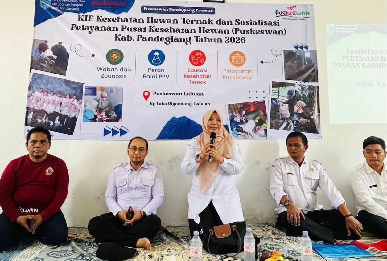 Suasana Komunikasi, Informasi, dan Edukasi Pelayanan Kesehatan Hewan di Puskeswan Pembantu Labuan, Kampung Laba, Desa Cigondang, Kecamatan Labuan, Rabu (2/9/2026).(Istimewa)