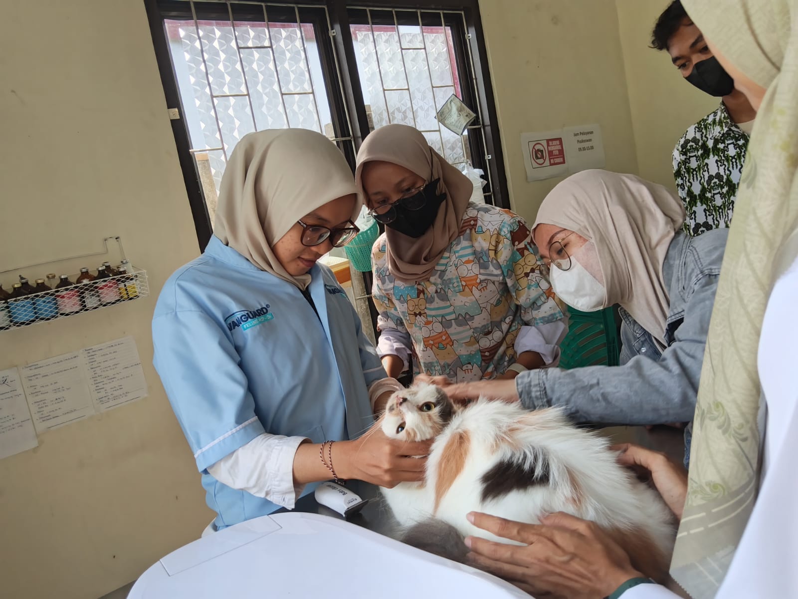 Layanan vaksinasi rabies gratis bagi hewan peliharaan masyarakat. (Ist)