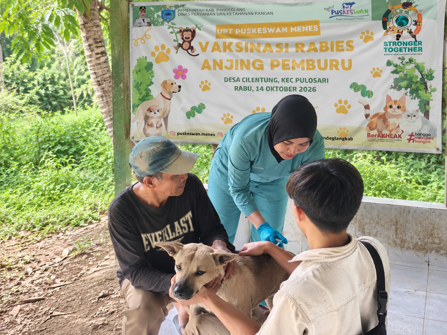 Dokter hewan Puskeswan Pembantu Menes melakukan vaksinasi rabies pada anjing pemburu di Kampung Cilentung, Desa Cilentung, Kecamatan Pulosari, Kabupaten Pandeglang, Rabu (14/10/2026).(Istimewa)