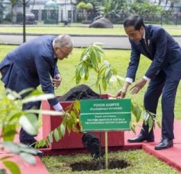 Presiden Joko Widodo bersama PM Australia Antony Albanesse menanam pohon di Istana Bogor. (Ist)