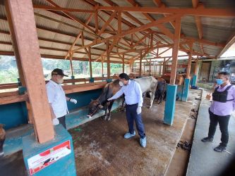 Pj Gubernur Banten Al-Muktabar saat memeriksa kesehatan hewan di lapak penjual wilayah Tangsel. (tangselpos.id/rmn)