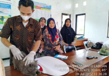Uji coba pelayanan kesehatan hewan d Kantor BPP Kecamatan Labuan, Kamis (28/7/2022).(Istimewa)