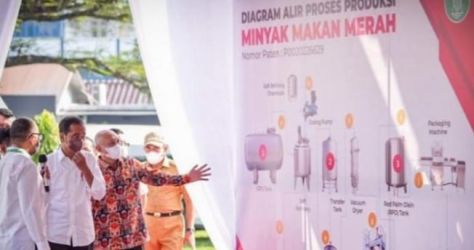 Menteri Koperasi dan UKM Teten Masduki saat presentasi kepada Presiden Jokowi tentang pembuatan minyak merah di Pusat Peneletian Kelapa Sawit di Kota Medan pada Kamis (7/7/2022). Foto: Istimewa