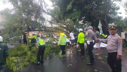 Seorang wanitia harus mendapatkan penanganan medis serius usai mendapatka luka tertimpa pohon tumbang di Jalan Aria Putra, Serua indah, Kota Tangsel.(dra)