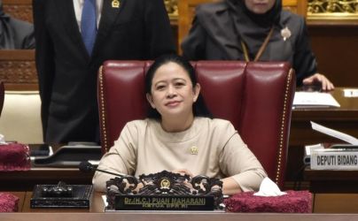 Ketua DPR Puan Maharani. Foto : Ist