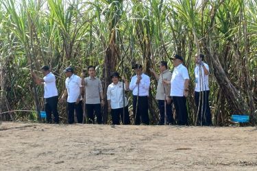 Wapres Gibran ketika panen tebu di Sleman, DIY. Foto : Ist