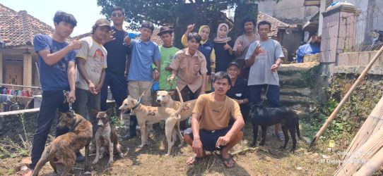 Puluhan Anjing Pemburu Gunung Karang Divaksin Rabies, Kolaborasi antara Puskeswan Pandeglang, Balai Veteriner Subang, dan Komunitas Anjing Pemburu Gunung Karang, di Kampung Kopo Desa Kaduengang Kecamatan Cadasari Kabupaten Pandeglang, Jumat (17/10/2025).(Ist)