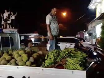 Salah seorang penjual durian Baduy sedang merapikan dagangannya, beberapa waktu lalu.(Istimewa)