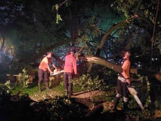 Petugas BPBD mengevakuasi pohon tumbang di Tangerang Selatan, salah satu peristiwa yang mendominasi laporan kejadian sepanjang 2025. (Dok. BPBD Tangsel