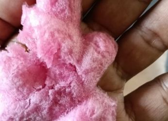 Es gabus. Foto : Ist