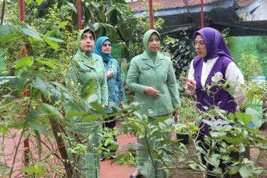 POSYANDU. Ketua Tim Pembina Posyandu Banten, Tinawati Andra Soni (kanan) melihat kebun TOGA di Posyandu Mawar, Serpong Utara.
