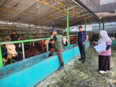 Petugas DKPPP Tangsel melakukan pendataan dan pemeriksaan kesehatan hewan kurban di lapak penjualan jelang Iduladha 1447 Hijriah. (Dok. DKPPP Tangsel)